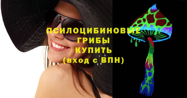 прущий лед Алзамай