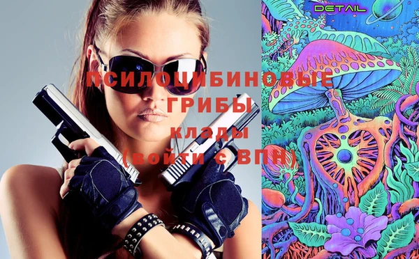 МДПВ Алексеевка