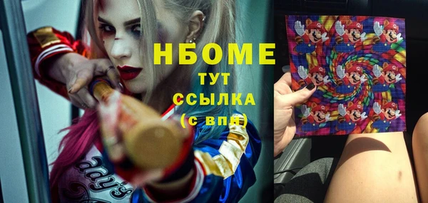 прущий лед Алзамай