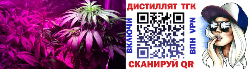 Купить Венёв ТГК Wax