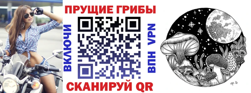Купить  Венёв  Галлюциногенные грибы прущие грибы 